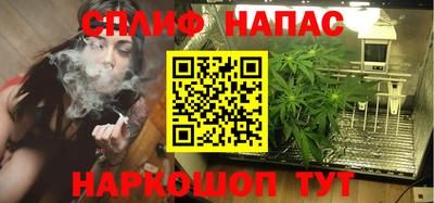меф Гатчина