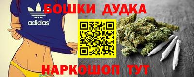 меф Гатчина
