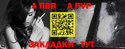 дживик Гай