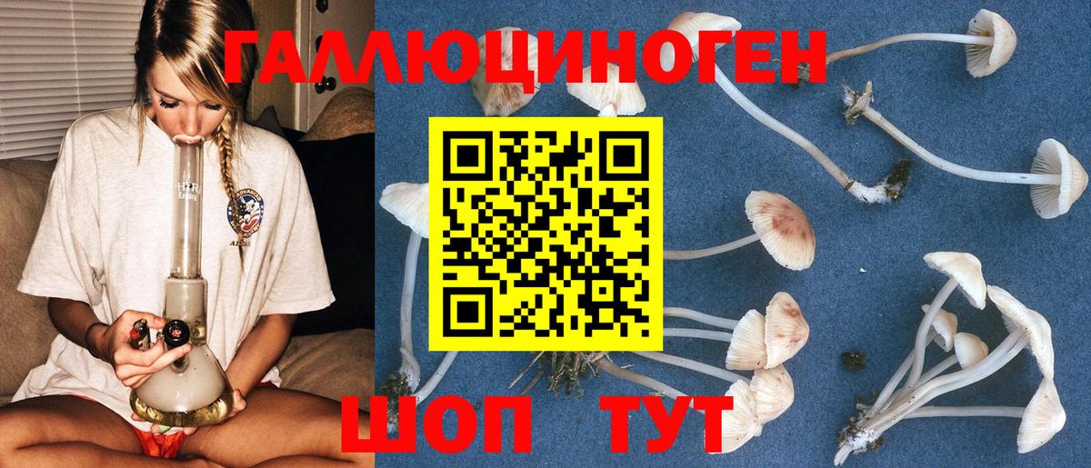 Озёрск  Галлюциногенные грибы Psilocybe  Вход с VPN  Галлюциногенные грибы Psilocybine cubensis 