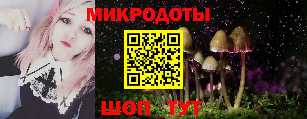 Псилоцибиновые грибы Magic Shrooms Озёрск